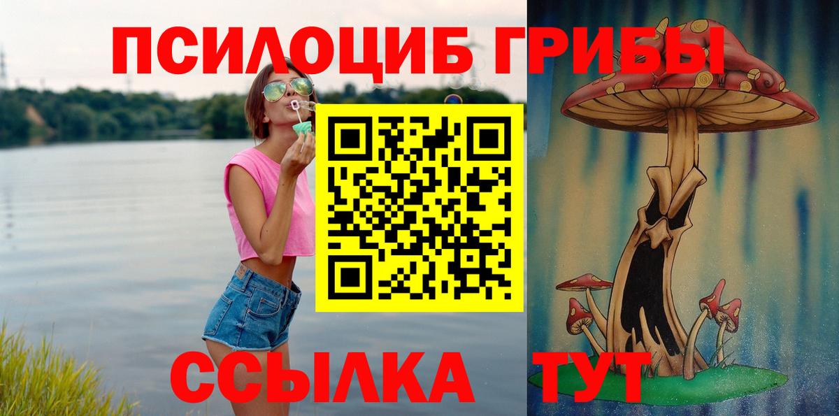 Черкесск  Галлюциногенные грибы прущие грибы  Галлюциногенные грибы ЛСД  где продают наркотики  Вход с VPN 