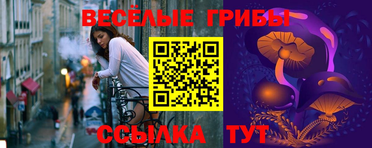 Псилоцибиновые грибы мухоморы Черкесск